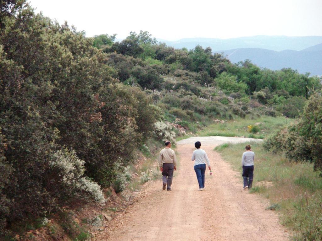 Los Laureles Casa Rural Urda Zewnętrze zdjęcie