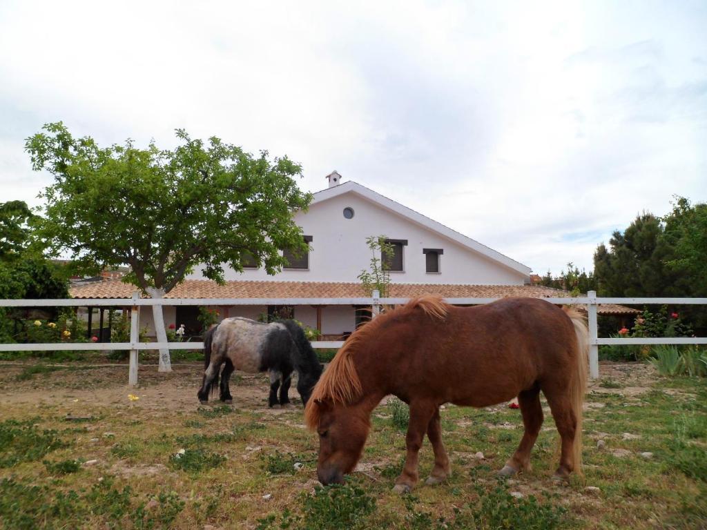 Los Laureles Casa Rural Urda Zewnętrze zdjęcie